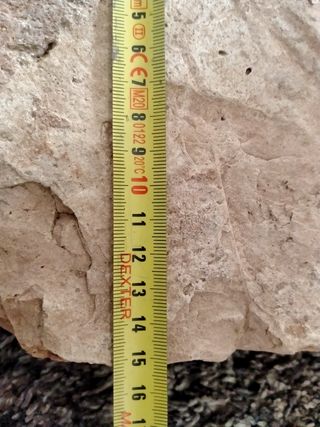 LADRILLO(LATER)ROMANO TIPO LYDIUS