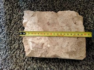 LADRILLO(LATER)ROMANO TIPO LYDIUS