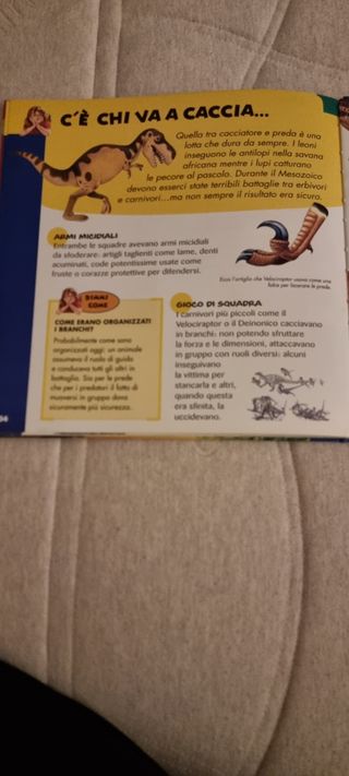 Libro per bambini "Dinosauri"