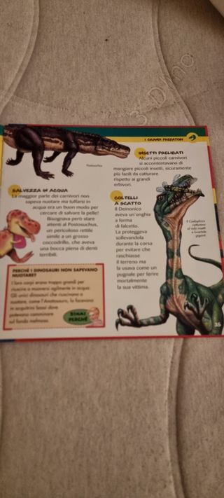 Libro per bambini "Dinosauri"