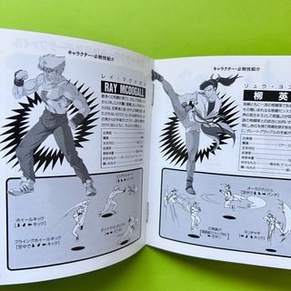 FIGHTERS HISTORY DYNAMITE SNK NEOGEO CD JAP