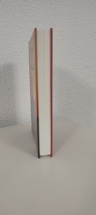Libro "Vence tu realidad". Autor: Gustavo Camañas