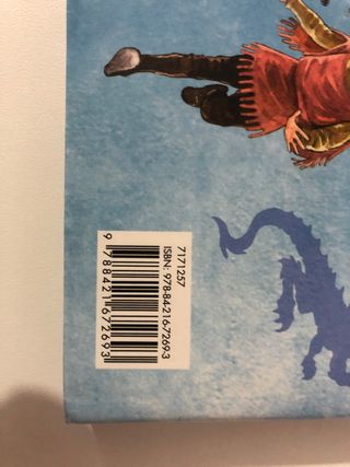 Mago por casualidad de Laura Gallego