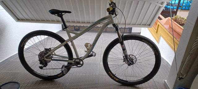 Specialized Hardtail 29