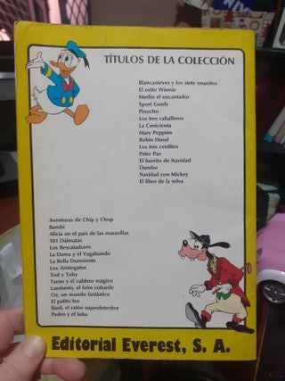 2 libros de Dibujos Animados por solo 2 euros