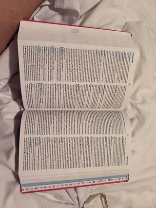 Diccionario SM secundaria y bachillerato