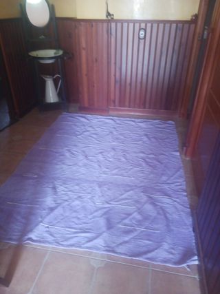 2 alfombras. 10 octubre desaparece