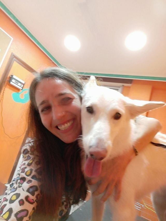 Peluquería canina en Guardamar