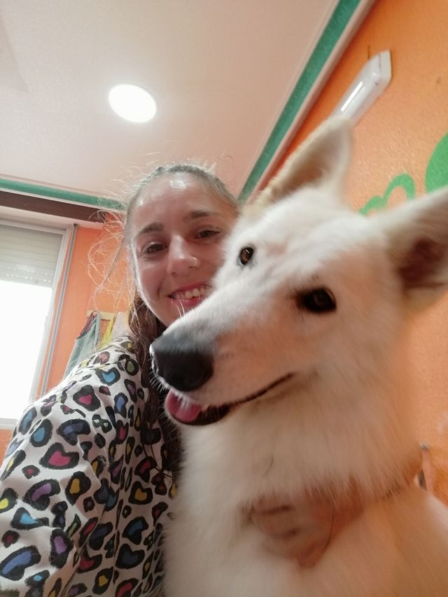 Peluquería canina en Guardamar