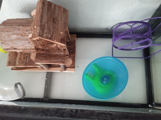 Accesorios para jaula hamsters (el acuario ya no l