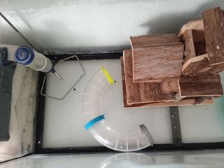 Accesorios para jaula hamsters (el acuario ya no l