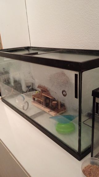 Accesorios para jaula hamsters (el acuario ya no l