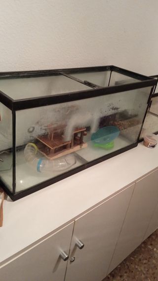 Accesorios para jaula hamsters (el acuario ya no l