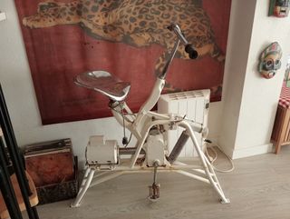 Bicicleta estática vintage