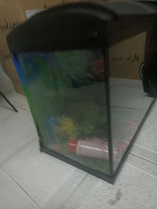 Acuario 60l