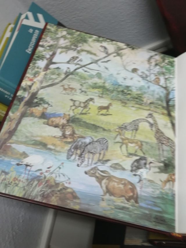 Bíblia da Juventude,