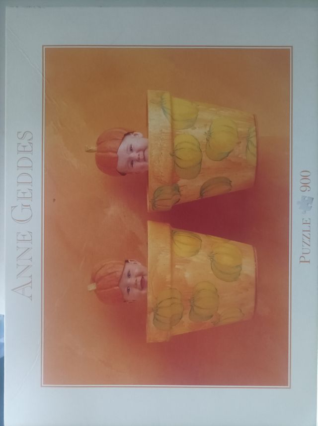 5 Puzzles Anne Gedes por