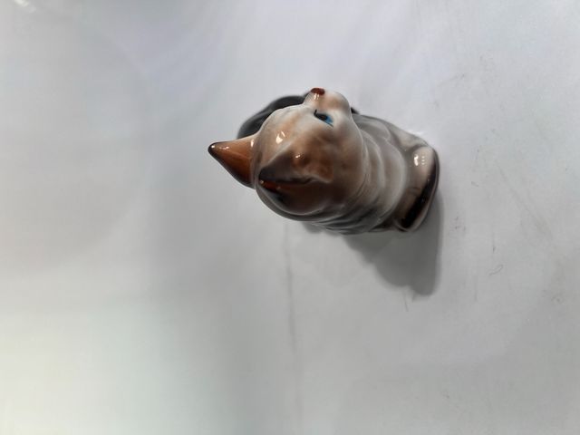 Gatto in ceramica colorata, tedesca