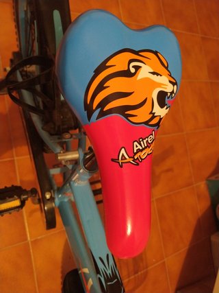 Bici de niño