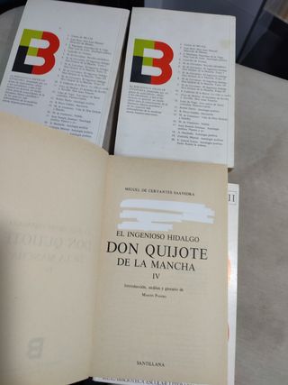 El Ingenioso Hidalgo Don Quijote de la M