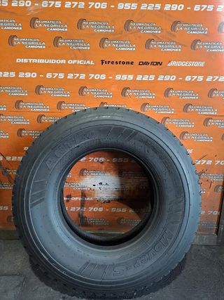 315 80 22.5 ANTEO juego de 2 REF 18172 18173