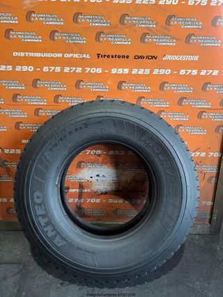 315 80 22.5 ANTEO juego de 2 REF 18172 18173