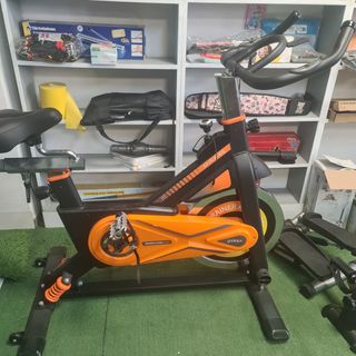 FITFIU Fitness BESP-100 - Bicicleta estatica