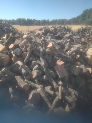 LEÑA  DE ENCINA SECA 0,14