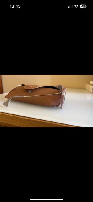 occhiale da sole Rayban Erika