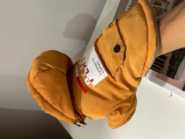 Abrigo chihuahua caniche