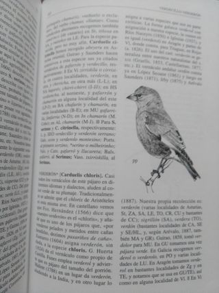 Diccionario de nombres vernáculos de aves
