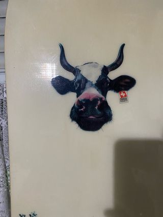 tabla snowboard nidecker