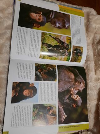 1000 crías de animales