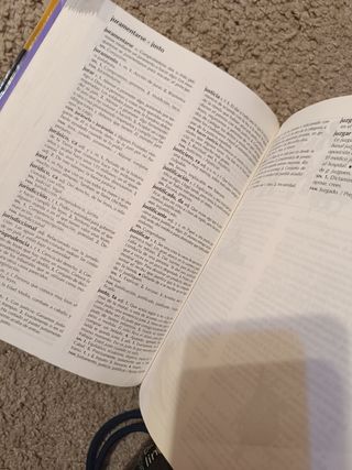 Diccionario escolar de lengua española