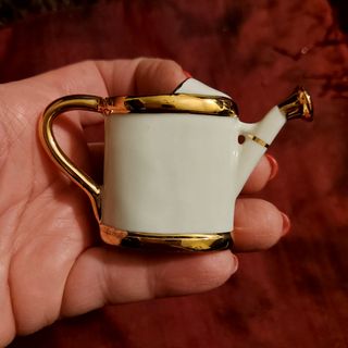 Pequeno regador decorativo