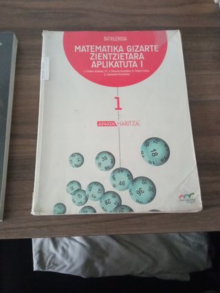 Matemáticas de primero de bachillerato en euskera 