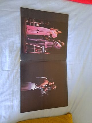 Disco Vinilo Hayes y Warwick