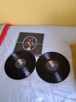 Disco Vinilo Hayes y Warwick