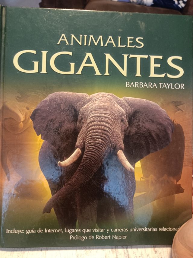 Animales gigantes