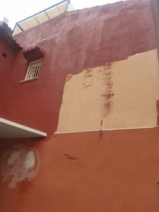 Pintor profesional particular