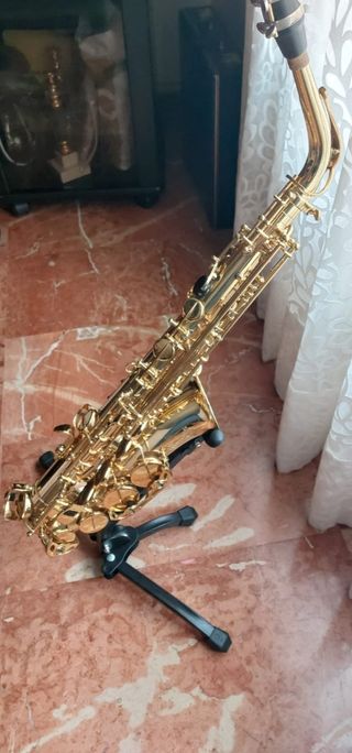 SAXOFONISTA PROFESIONAL