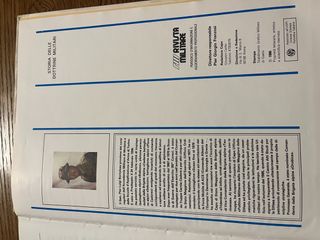 Storia delle dottrine militari