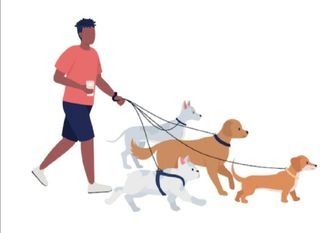 Paseador de perros!