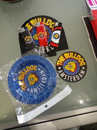 Amsterdam bulldog 