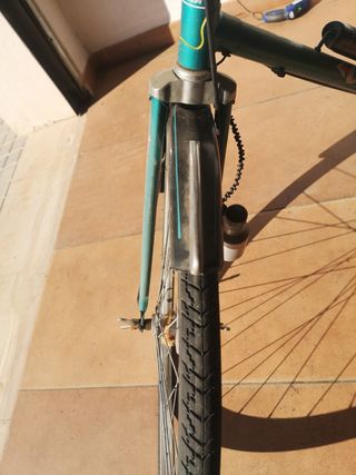 Bici Holandesa
