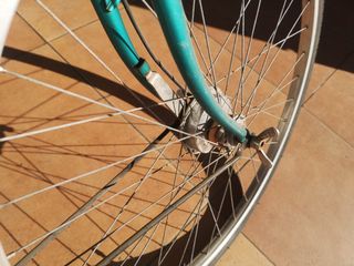 Bici Holandesa