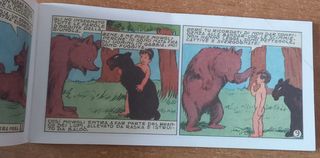 Striscia "I libri della giungla"