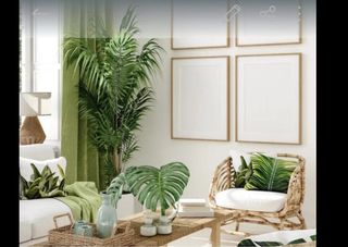 limpio casas por horas y plancha