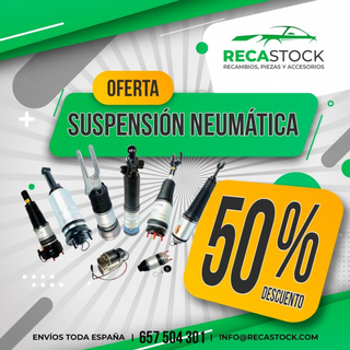 SUSPENSION NEUMATICA 44102272 r_53734