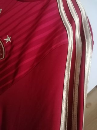 Camiseta futbol España World Champions